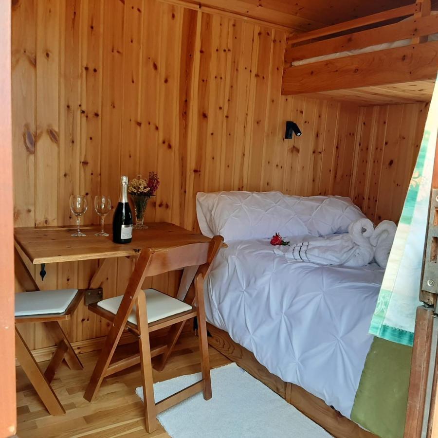 Foxglove Accommodation 克雷文阿姆斯 外观 照片