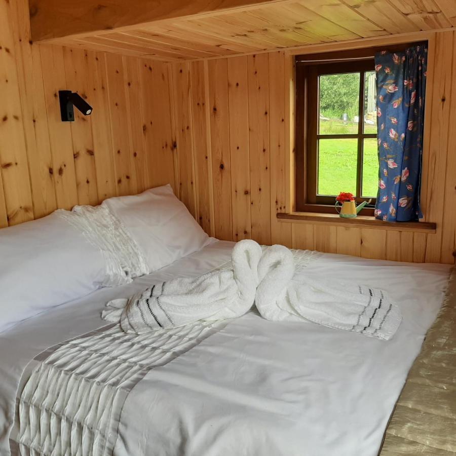 Foxglove Accommodation 克雷文阿姆斯 外观 照片