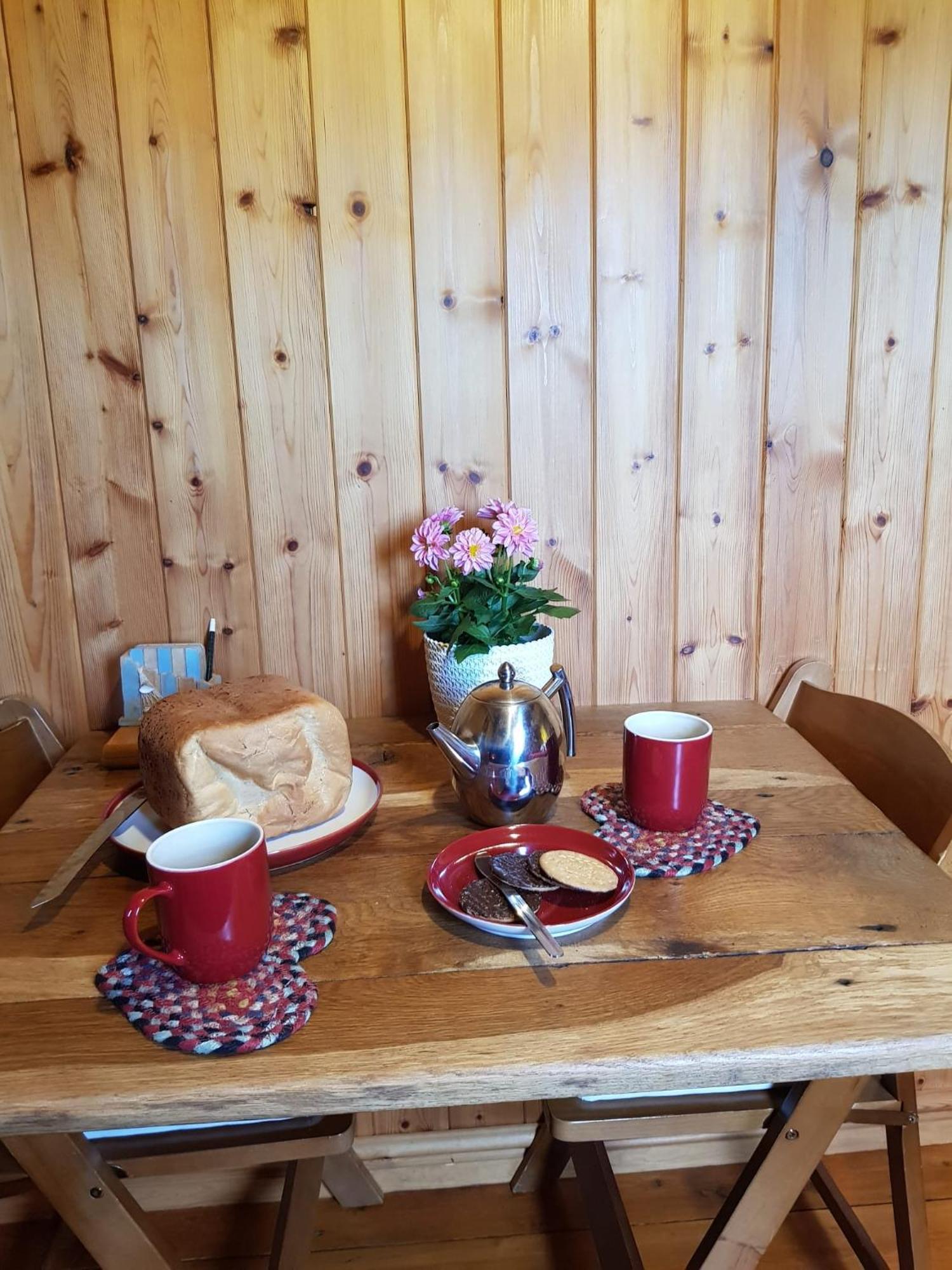 Foxglove Accommodation 克雷文阿姆斯 外观 照片